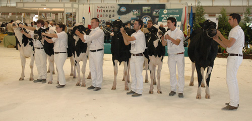 CONCURSO DE MANEXADORES