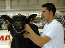 JOSÉ ALBERTO IGLESIA VILA