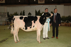 SANDAMIL M.S. DECKER MELANY