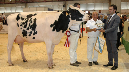 POZOSAA GOLDWYN 6821 RULA