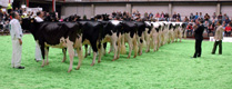 CONCURSO NACIONAL