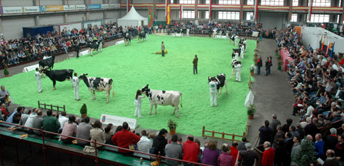 CONCURSO NACIONAL DE PRIMAVERA