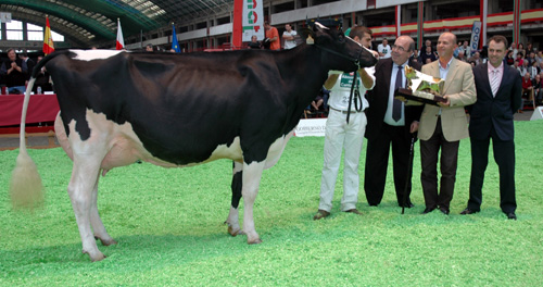 LLERA ARIEL GOLDWYN ET