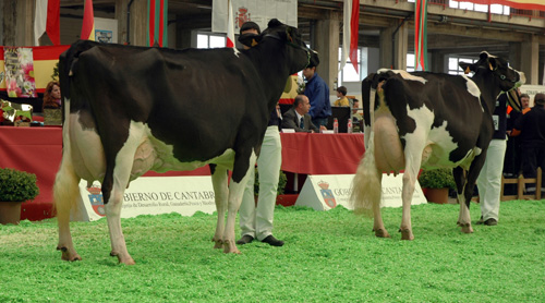 CANDO FANI E POZO MIMOSA