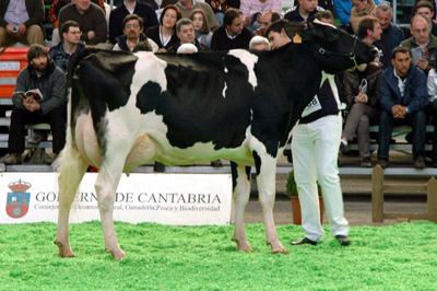 REY 434 NATACHA GOLDWYN