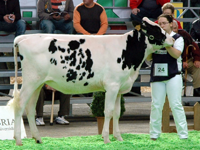 POZOSAA GOLDWYN 6821 RULA
