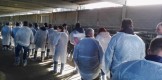 VISITA XENETICA FONTAO