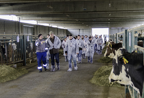 VISITA XENETICA FONTAO