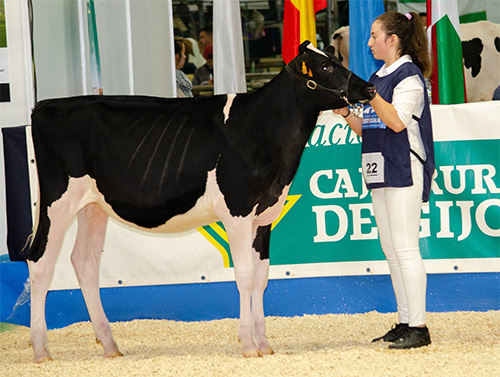 REY 1144 MOOVIN YULIMAR