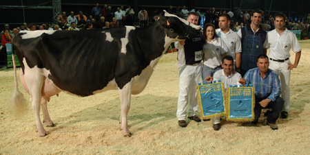 vaca campeona nacional