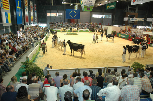 CONCURSO NACIONAL RAZA FRISOA