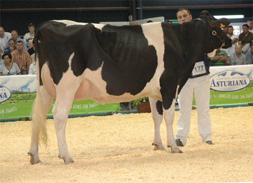 CESARES BOEZA DANCER