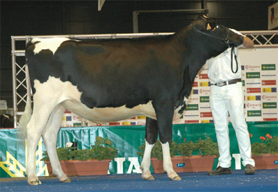 BOS PLANET LEONA ET
