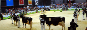 CONCURSO NACIONAL