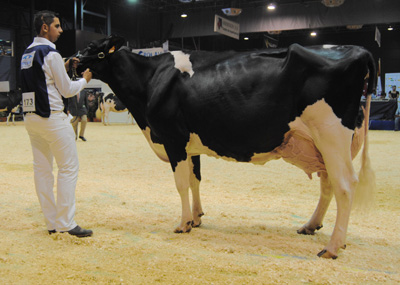 REY 454 ROSITA GOLDWYN