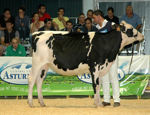REY 616 MATA BRADNICK