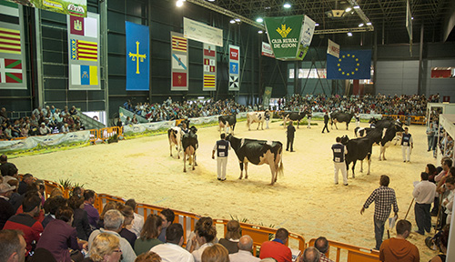 CONCURSO NACIONAL FRISOA
