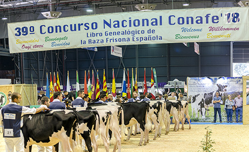 CONCURSO NACIONAL