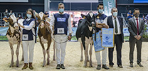 CONCURSO NACIONAL FRISONA