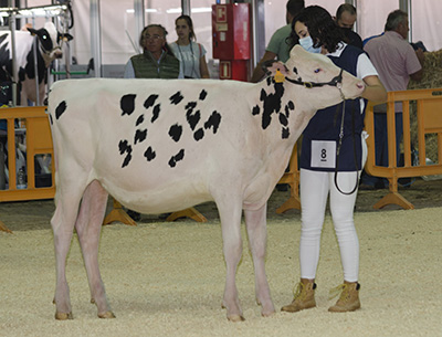 REY 1046 MOOVIN ATHLETE