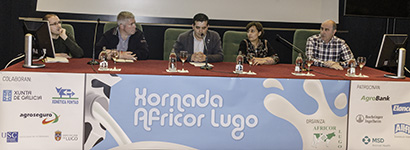 XORNADA AFRICOR LUGO