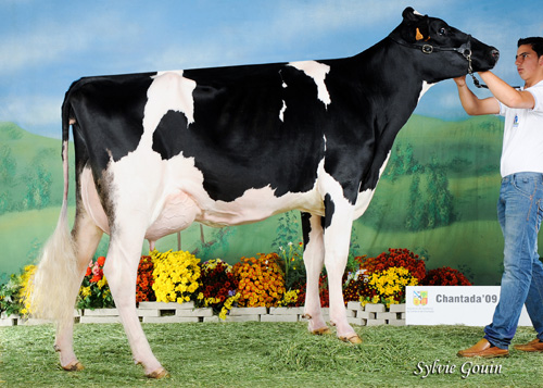REY 434 NATACHA GOLDWYN