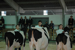 CONCURSO MANEXADORES
