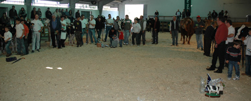 ENTREGA DE PREMIOS