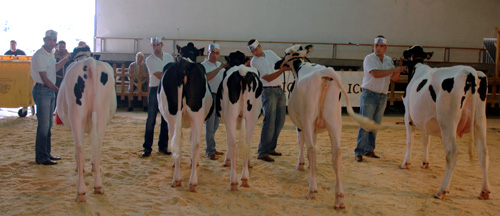 CONCURSO MANEXADORES