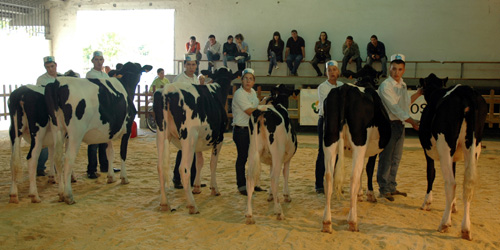 CONCURSO NOVOS MANEXADORES