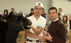 JOSE ALBERTO IGLESIA