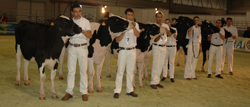 concurso de xovenes manexadores
