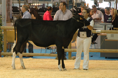 POZOSAA JASPER 9888 ERMA