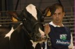 CID GOLDWYN ALELUYA V