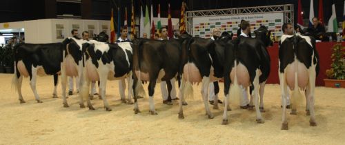 SECCION 10