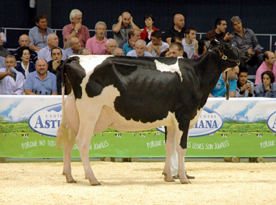 CID GOLDWYN ALELUYA V
