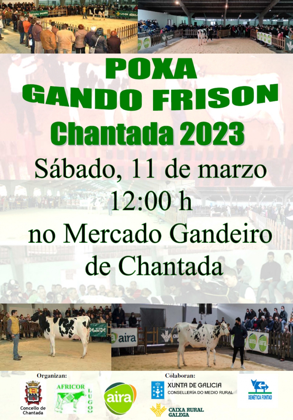 POXA CHANTADA 2023