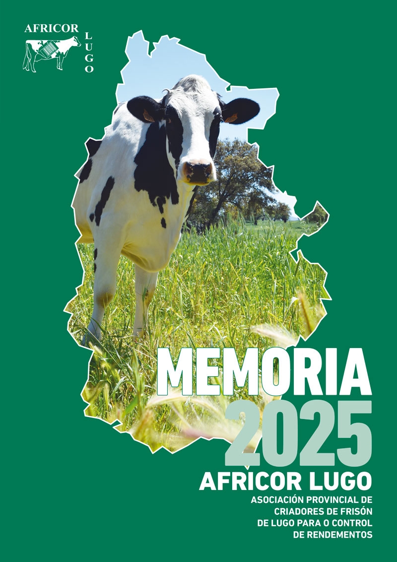 Memoria 2025
