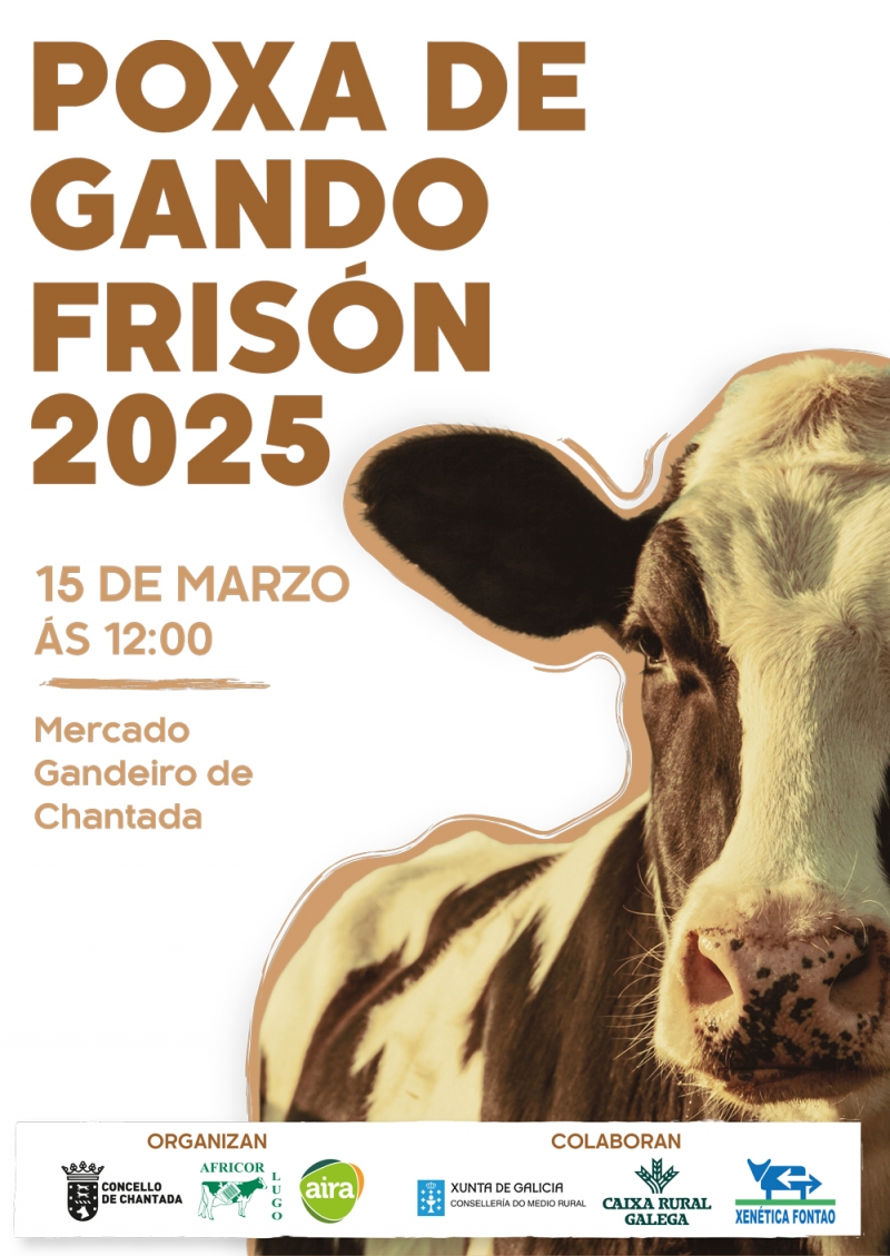 POXA CHANTADA - RESULTADOS