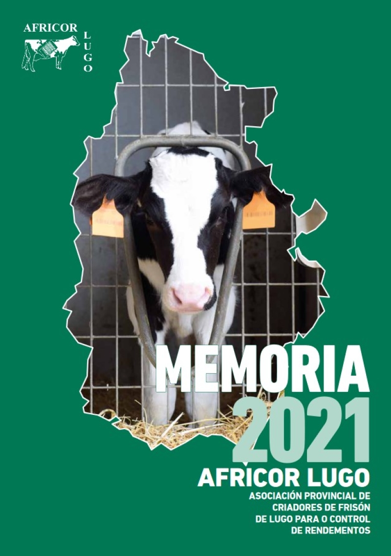 MEMORIA 2021