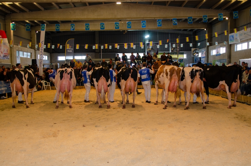 AXUDAS CERTAMES GANDEIROS