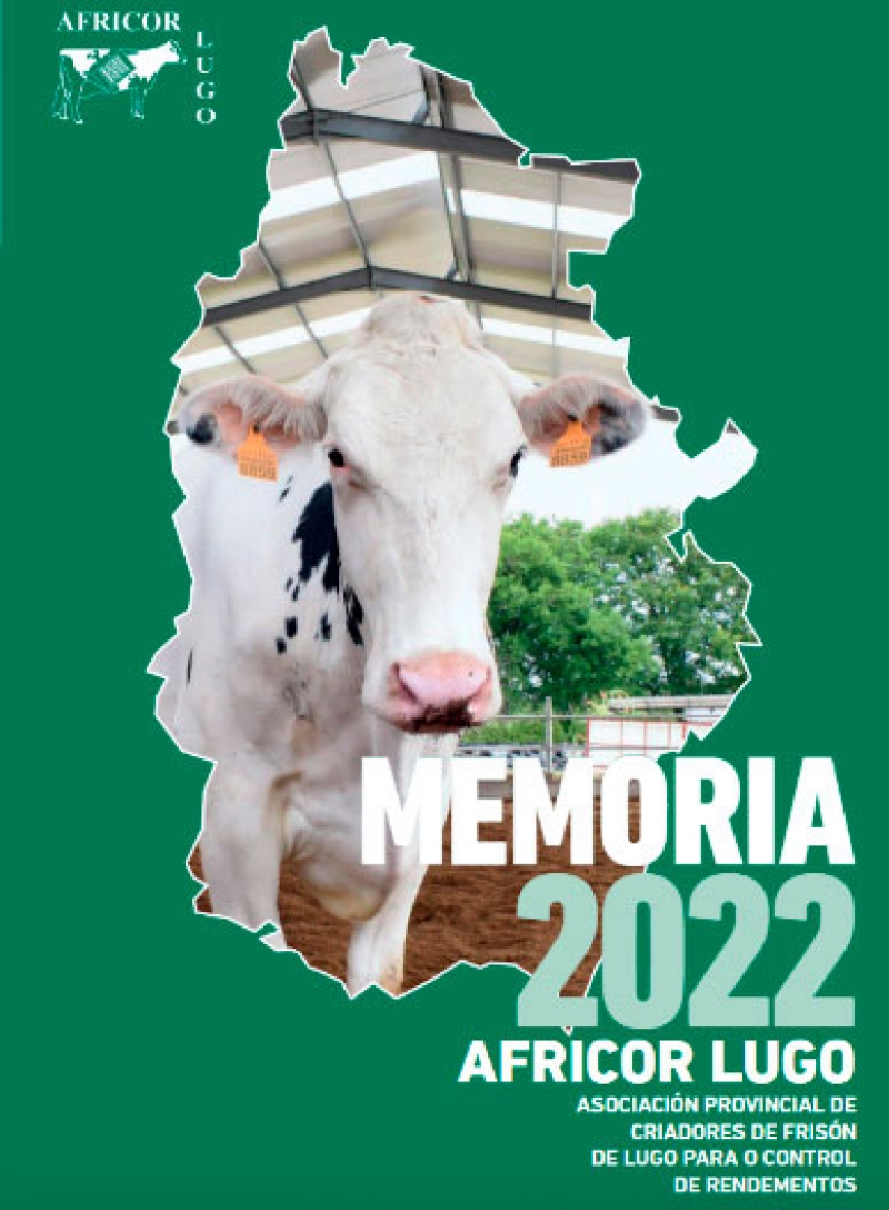 MEMORIA 2022
