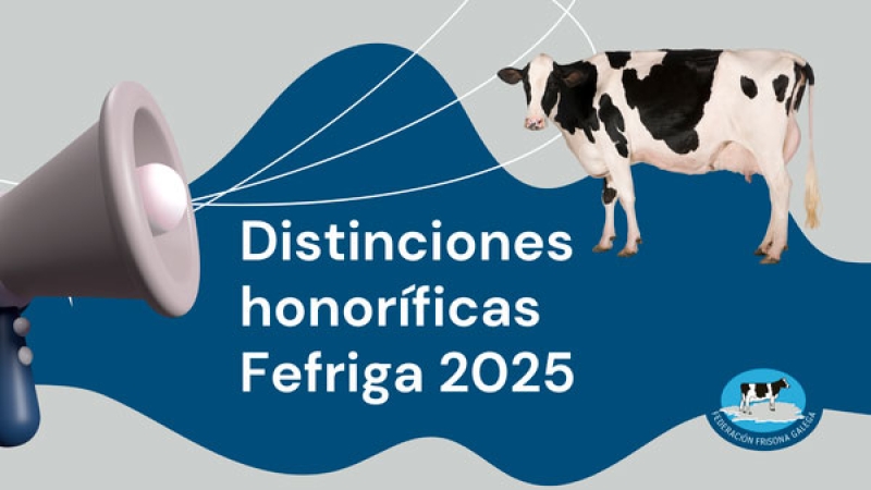 MENCIÓNS HONORÍFICAS FEFRIGA