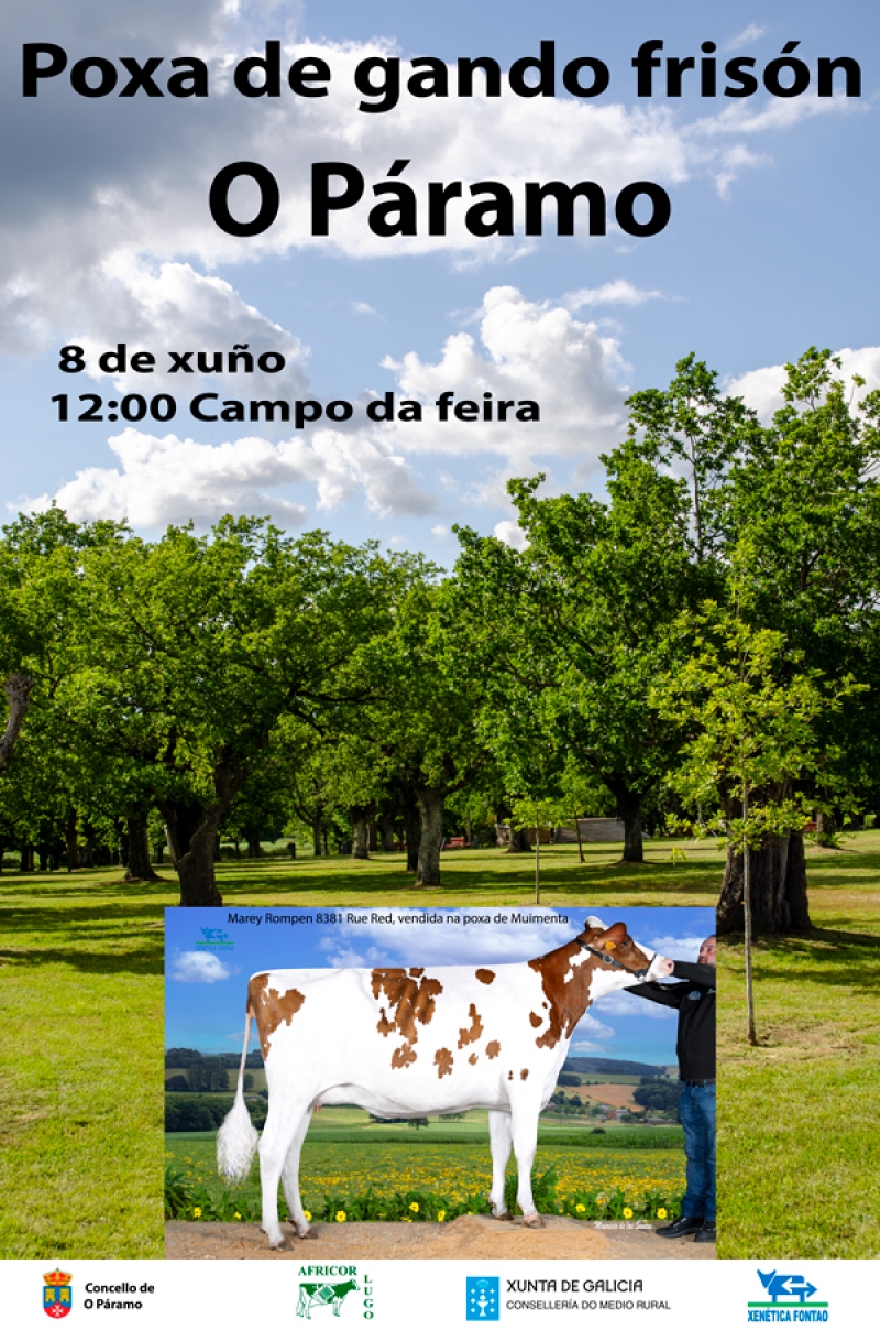 POXA O PARAMO