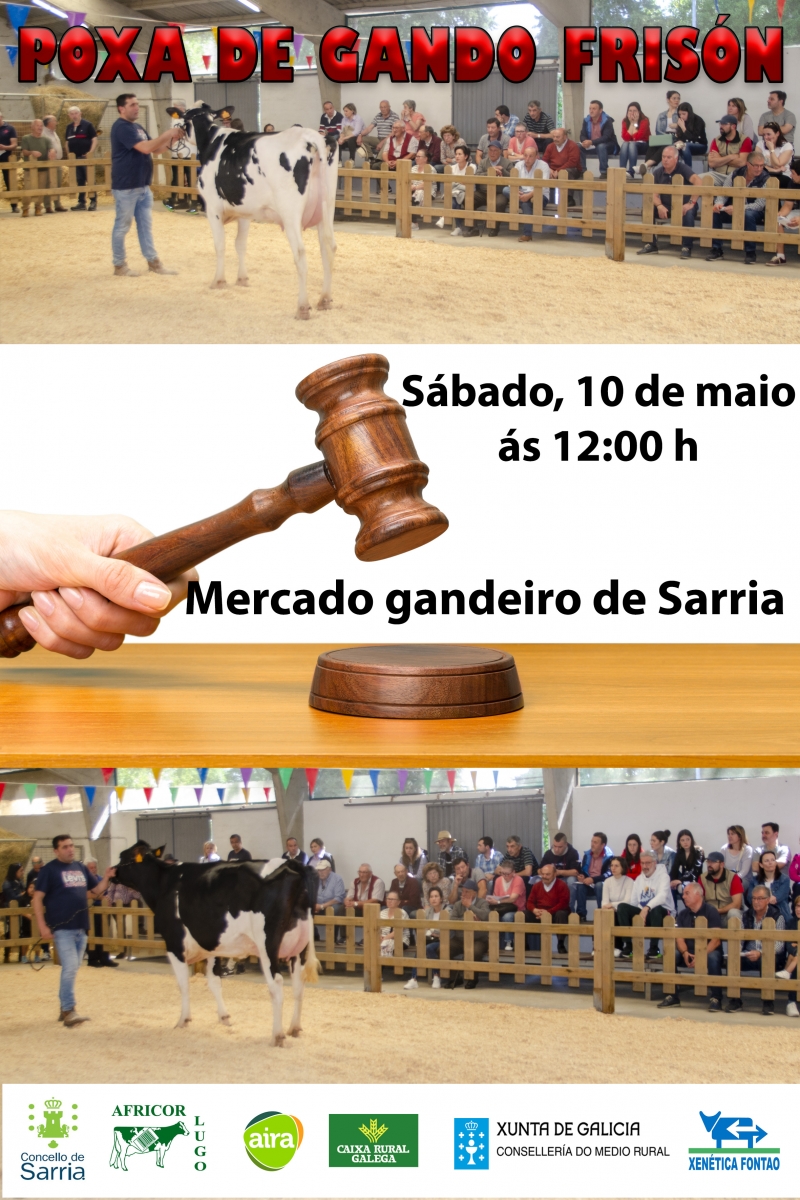 POXA EN SARRIA