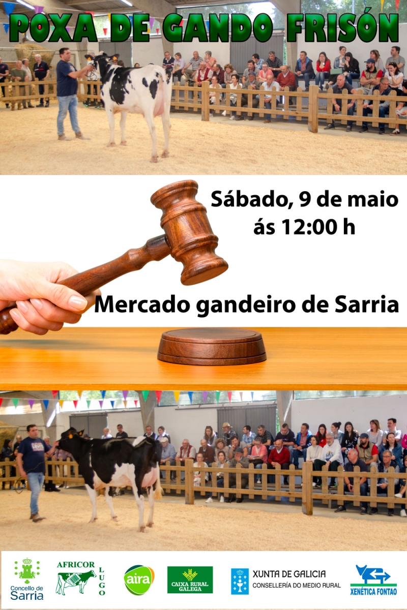 POXA EN SARRIA - RESULTADOS