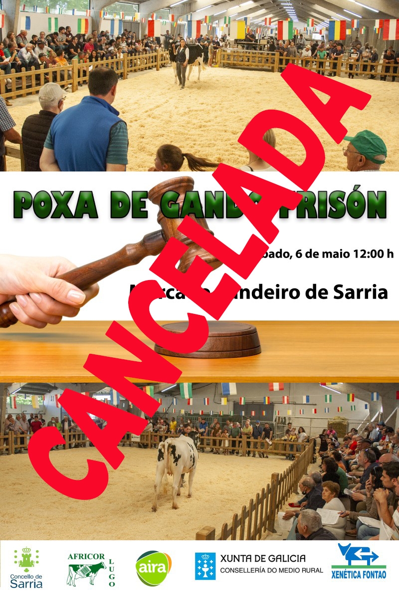 POXA SARRIA